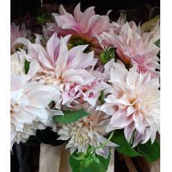 Dalia Hol. Cafe Au Lait 50cm "CC20"