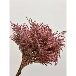 Tatarica Preservada Rosa 30cm 100g