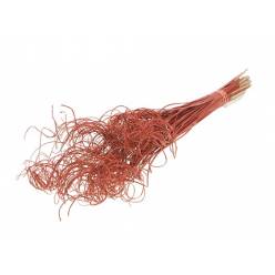 Curly Navidad Rojo Purpurina Roja 65cm (100 Tallos)