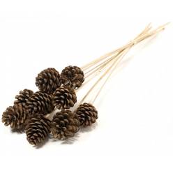 Pick Pias Naturales 50cm (5-7cm)(x10uds)