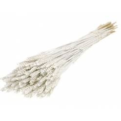 Trigo Seco Blanco Purpurina Plata 50cm 200g