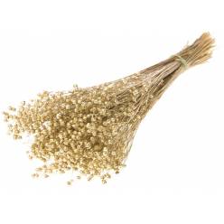 Lino Seco Oro 55cm 100g