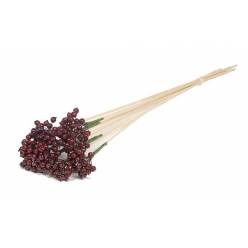 Caas Berry Granate 50cm "T10"
