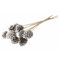 Pick Pias Naturales Nieve 50cm (5-7cm)(x10uds)