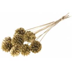 Pick Pias Oro 50cm (5-7cm)(x10uds)