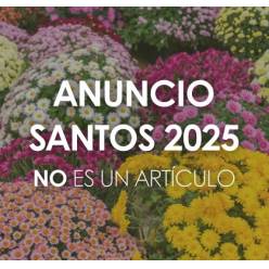 .Gran surtido de Clavel Colombiano para Santos 2025