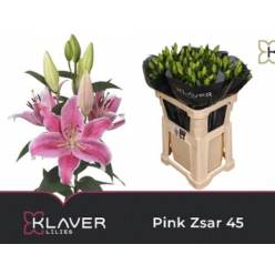 Oriental Hol. Rs. Pink Zsar 70cm 3/4 fl.
