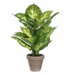 Planta Dieffenbachia Artificial 11.5x40Hcm