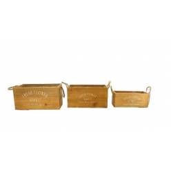 Cajon Ilan (Set 3uds)