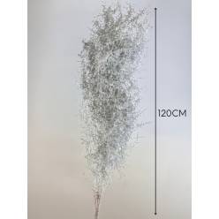 Esparraguera Silvestre Pintada Blanca 120cm "T25"