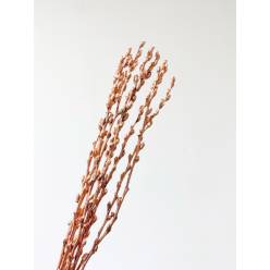 Salix Snow Flake Pintado Cobre 70cm x10 "Paquete"