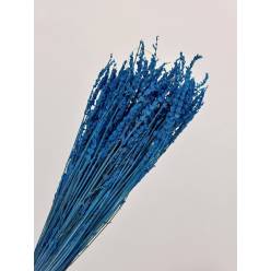 Lavanda Preservada Azul Oscuro 40cm 100g