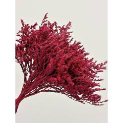 Tatarica Preservada Granate 30cm 100g