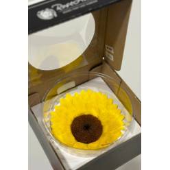 Girasol Preservado Premium XXL 10cm