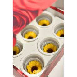 Girasol Preservado Mini S 4cm (x6uds)