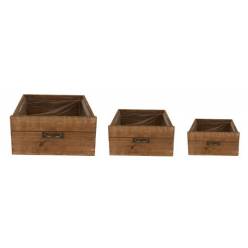 Cajon Bosco (Set 3uds)