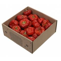 Calabaza Entera Seca 250g