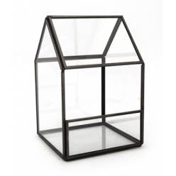Terrario Land 10x10x15Hcm