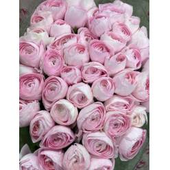 Ranunculos Italia "Cloni Extra" Lady 45cm Rs.