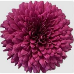 Uniflor Ecu. Lamira Lil.