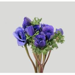 Anemona Italia Mistral Azul 45cm "Extra"