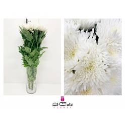 Uniflor Col. Topspin Blanca