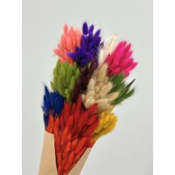 Bouquet Mixto Lagurus 55cm 300g