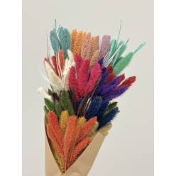 Bouquet Mixto Setaria 55cm 300g