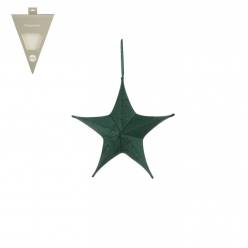 Estrella Aster Verde 12x40x40Hcm