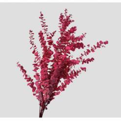 Eucalipto Estabilizado Cerise 70cm 140g