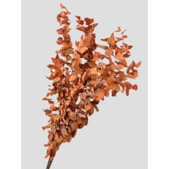 Eucalipto Estabilizado Orange 70cm 140g