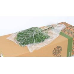 Helecho Cuero Ex. Vacio Paq. 40/45cm (7 Dias - 2�)