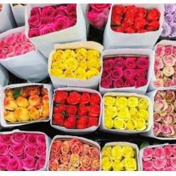 Rosa Col. Mixta 40cm "Mat" (7 Dias - 2�)
