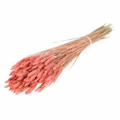 Trigo Seco Rosa 65cm 300g