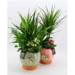 P. Composicin Mothers Day 17/55cm x3