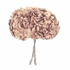 Hortensia Preservada Premium Avellana 15-20cm