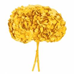 Hortensia Preservada Premium Amarillo Claro 15-20cm