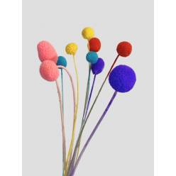 Craspedia Seca Mixta 60cm (10 Tallos)