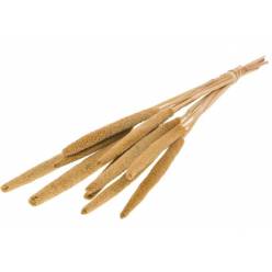 Babala Seca Natural 70cm 170g
