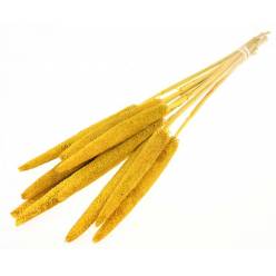 Babala Seca Amarilla 70cm 170g