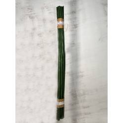 Caas Corona con Cinta 180cm