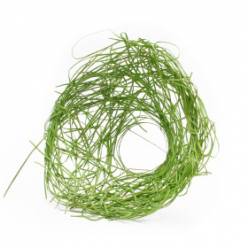 Bouquet de Ratan 20cm Verde "T10"