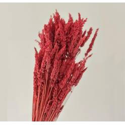 Lavanda Preservada Roja 40cm 100g