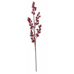 Pick Berry Nevado 67cm
