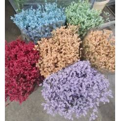Limonium Nac. Hibrido Tintado Verde 80cm  "T25"