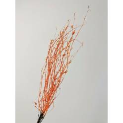Berk Tintado Naranja 60cm 35g