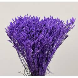 Limonium Col. Pintado Lavanda 70cm