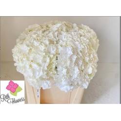 Hortensia Hol. Royal Highnes 80cm 20/22 Bl