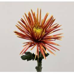 Uniflor Col. Chispa Rojo