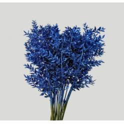 Ruscus Wild Brillantina Blue 70cm "T25"